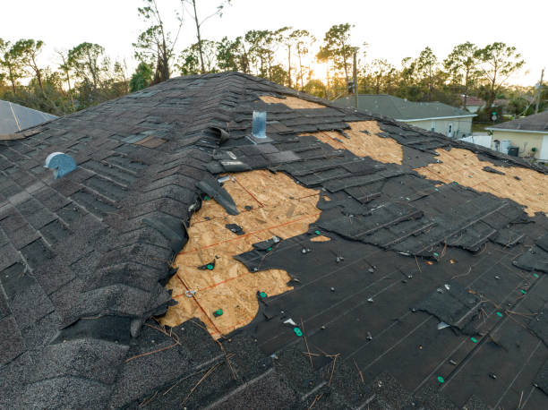 Best Commercial Roofing Services  in Pueblo, CO